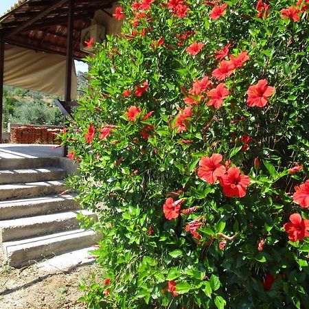 Countryside House Guest House Perachora Ngoại thất bức ảnh