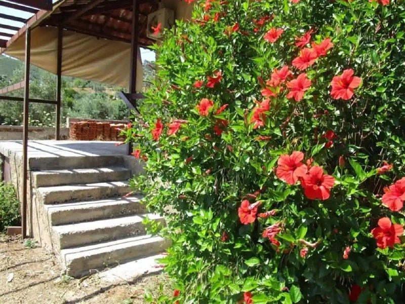 Countryside House Guest House Perachora Ngoại thất bức ảnh