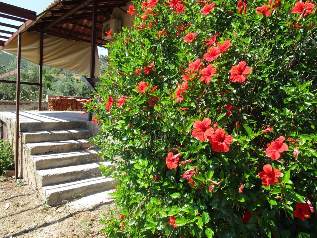 Countryside House Guest House Perachora Ngoại thất bức ảnh
